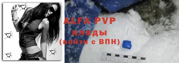 молекула духа Алексин