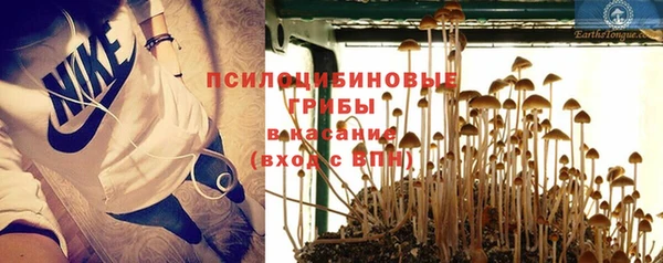 молекула духа Алексин