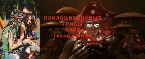 прущие крисы Алзамай