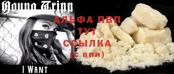молекула духа Алексин