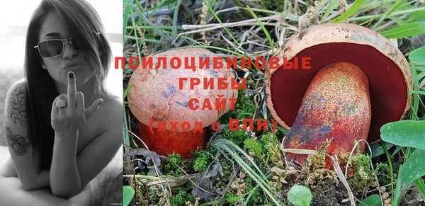 прущие крисы Алзамай